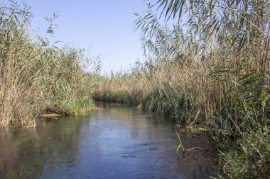 Marmaris Deresi ve berrak su dereleri, Türkiye