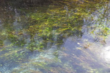 Marmaris Deresi ve berrak su dereleri, Türkiye