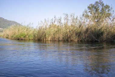 Marmaris Deresi ve berrak su dereleri, Türkiye