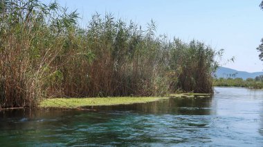 Azmak Deresi 'nde tekne gezisi, Mugla, Furkey