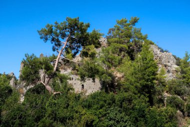 Olimpos, antik Lycia, Antalya, Türkiye 'nin en nemli liman kentlerinden biri.
