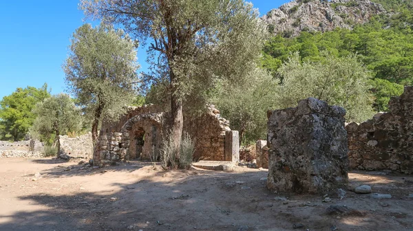 Olympos Una Las Ciudades Portuarias Más Húmedas Antigua Lycia Antalya — Foto de Stock