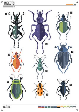 Vektör geometrik böcek veya böcek. Poster arka planında böcek var. Baskı, tebrik kartı, kreş posteri için idealdir.