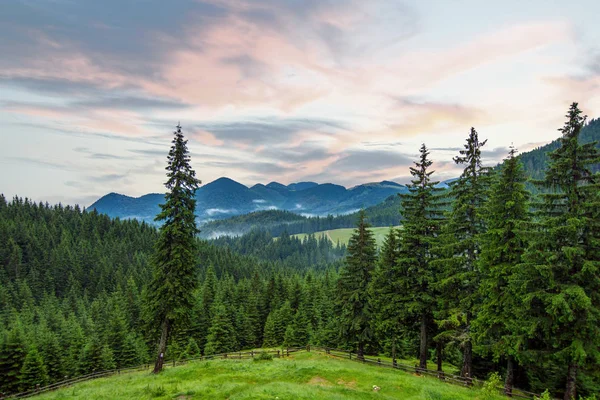 Epic mountain scenery with blue sky and pine trees and fog — Stock Photo, Image