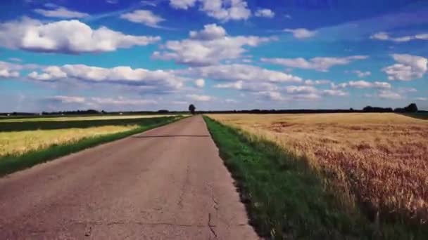 Hermoso Paisaje Rural Con Campos Grano — Vídeo de stock