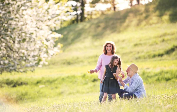 Casal sênior com neta fora na natureza primavera . — Fotografia de Stock