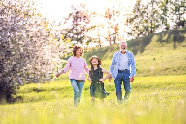 Senior couple with grandaughter outside in spring nature. — Stock Photo, Image