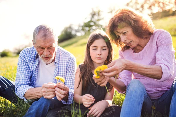 Senior paar met grandaughter buiten in de natuur van de lente, paardebloem krans maken. — Stockfoto