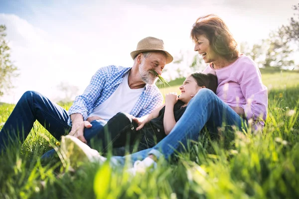 Seniorenpaar mit Enkelin im Frühling draußen in der Natur, im Gras entspannen. — Stockfoto