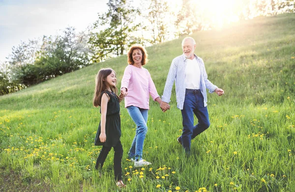 Seniorenpaar mit Enkelin im Frühling draußen in der Natur spazieren. — Stockfoto