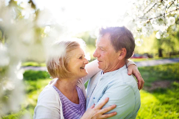 Vackra äldre par i kärlek utanför i vår natur. — Stockfoto