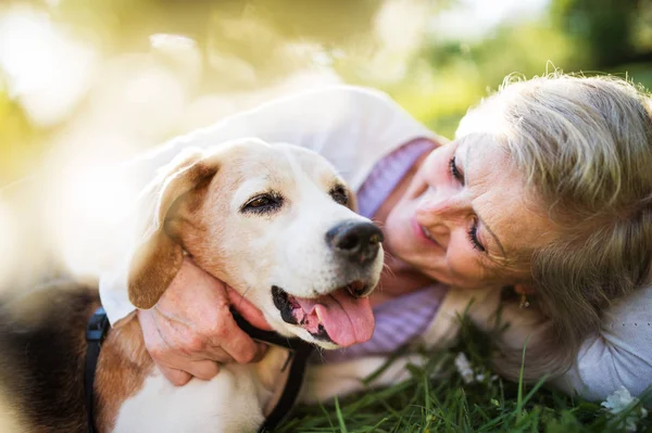 Donna anziana con cane in primavera natura, riposo . — Foto Stock