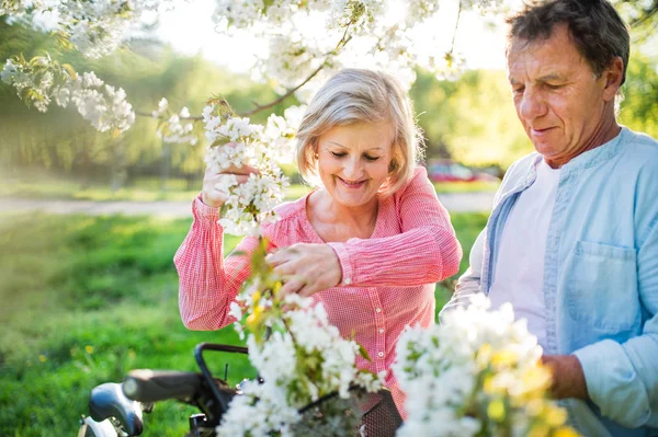 Bella coppia anziana con biciclette all'aperto nella natura primaverile . — Foto Stock