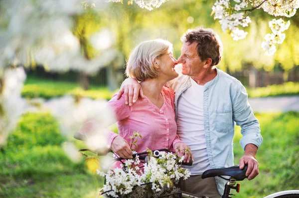 Bella coppia anziana con biciclette all'aperto nella natura primaverile . — Foto Stock