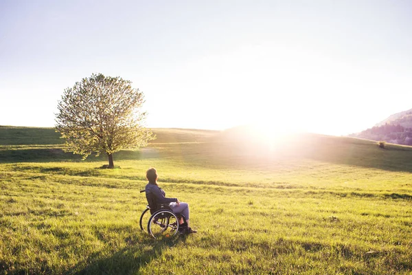 Eine Frau im Rollstuhl in der Natur bei Sonnenuntergang. — Stockfoto