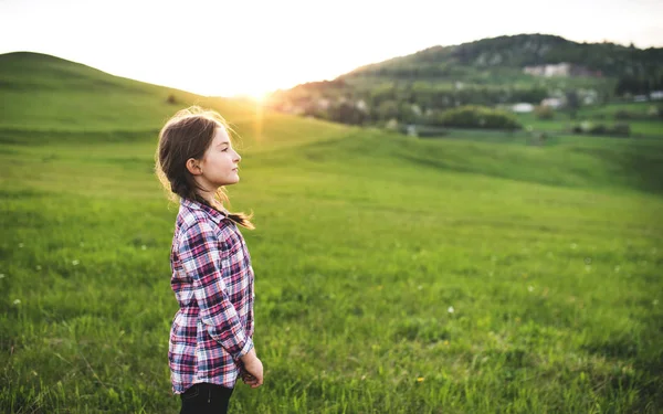 Una niña pequeña parada afuera en la naturaleza . —  Fotos de Stock