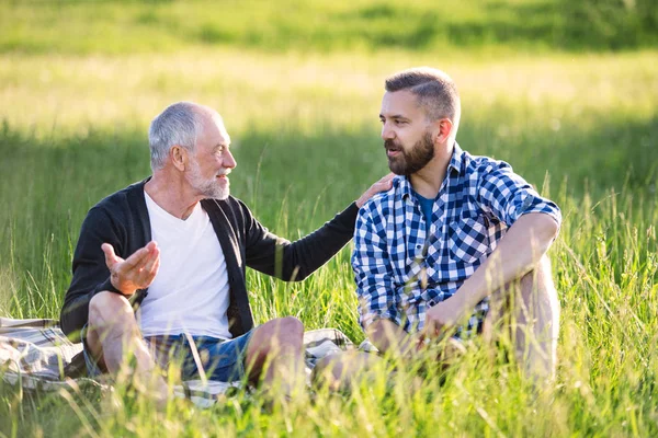 An adult hipster son with senior father sitting on the grass in sunny nature.