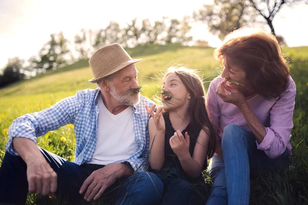 Seniorenpaar mit Enkelin im Frühling draußen in der Natur, im Gras entspannen. — Stockfoto