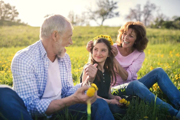 Senior couple with granddaughter outside in spring nature, making dandelion wreath. — Stock Photo, Image