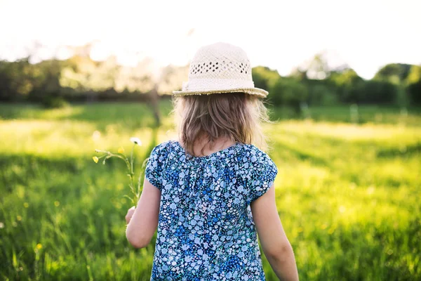 Uma menina pequena no jardim na natureza da primavera . — Fotografia de Stock