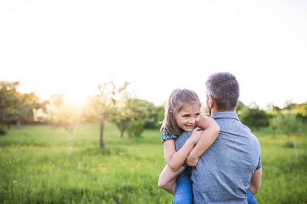Otec drží malou dcerou v jarní přírodě při západu slunce. — Stock fotografie