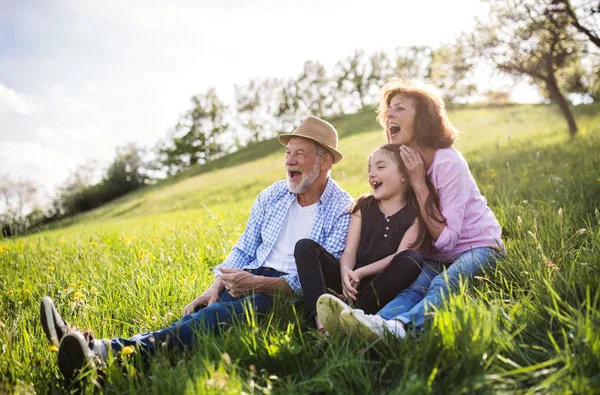 Senior couple with granddaughter outside in spring nature, relaxing on the grass. — Stock Photo, Image