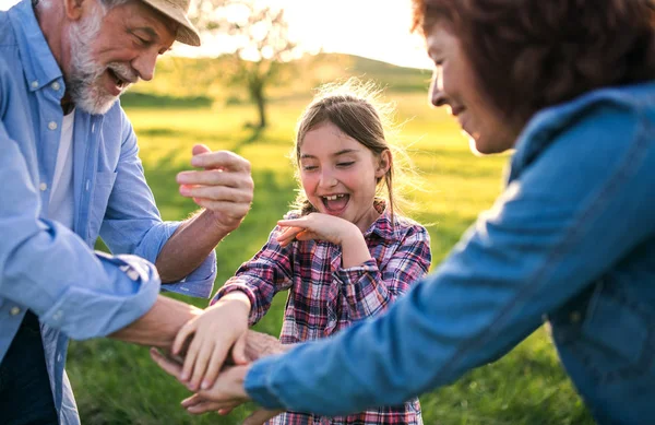 Ένα μικρό κορίτσι με τους παππούδες της ανώτερος διασκεδάζοντας έξω στη φύση στο ηλιοβασίλεμα. — Φωτογραφία Αρχείου