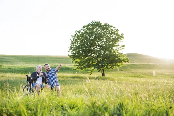 Un figlio hipster adulto con padre anziano in sedia a rotelle in una passeggiata nella natura al tramonto, ridendo . — Foto Stock