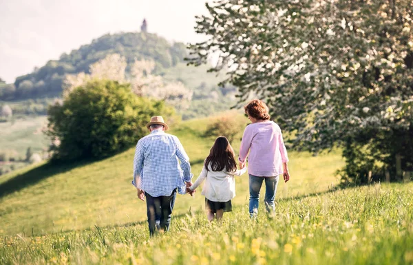 Senior pasangan dengan cucu di luar di alam musim semi, berjalan . — Stok Foto