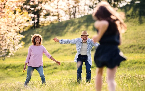 A small girl with grandparents running outside in spring nature. — Stock Photo, Image