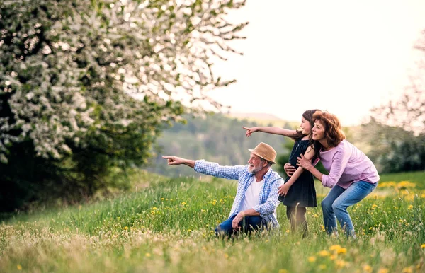 Äldre par med barnbarn utanför våren natur, pekar finger åt något. — Stockfoto