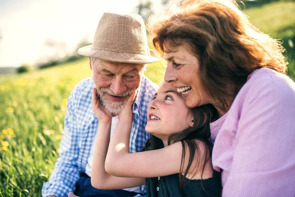 Pareja mayor con nieta afuera en la naturaleza de primavera, relajándose en la hierba . — Foto de Stock