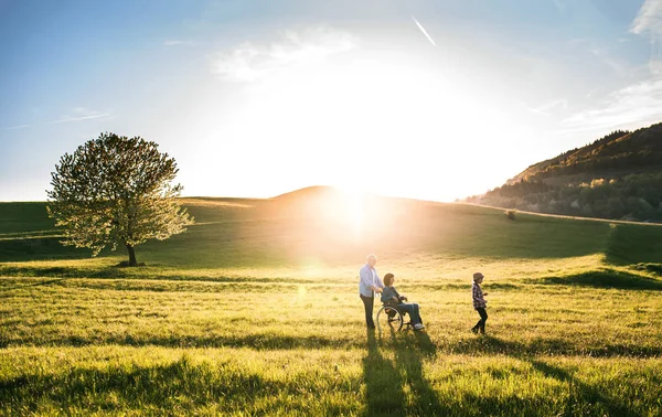 Una bambina con i suoi nonni anziani con sedia a rotelle in una passeggiata all'aperto nella natura al tramonto . — Foto Stock