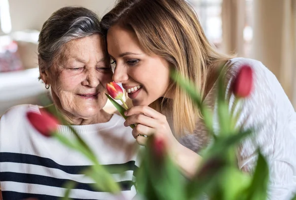 En äldre mormor med en vuxen barnbarn hemma, att lukta blommor. — Stockfoto