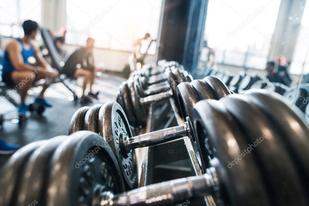 Metal heavy dumbbells in holder in modern gym.