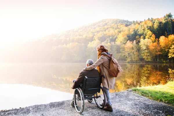 Старшая пара с инвалидной коляской в осенней природе . — стоковое фото