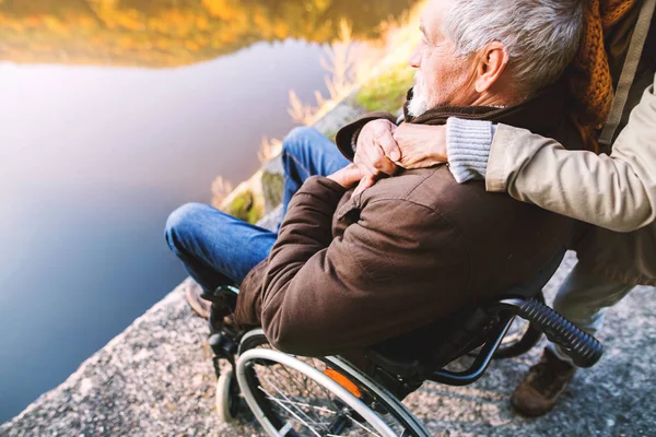Casal sênior com cadeira de rodas na natureza outono . — Fotografia de Stock