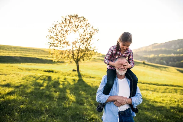 Un abuelo mayor dando a una pequeña nieta un paseo a cuestas en la naturaleza . — Foto de Stock
