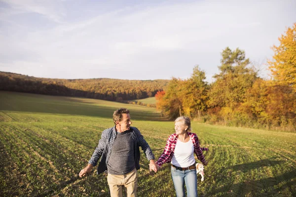 Seniorenpaar spaziert in herbstlicher Natur. — Stockfoto