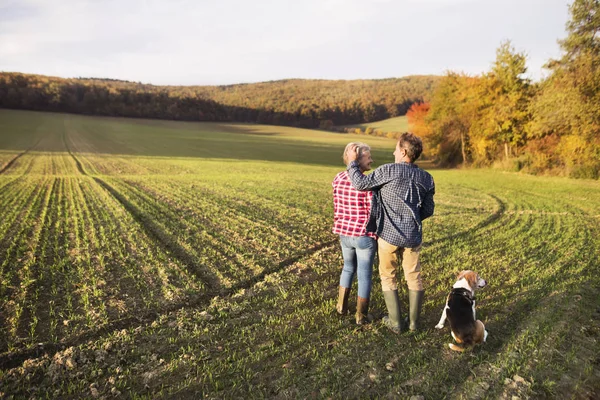 Senior echtpaar met hond op een wandeling in een herfst natuur. — Stockfoto