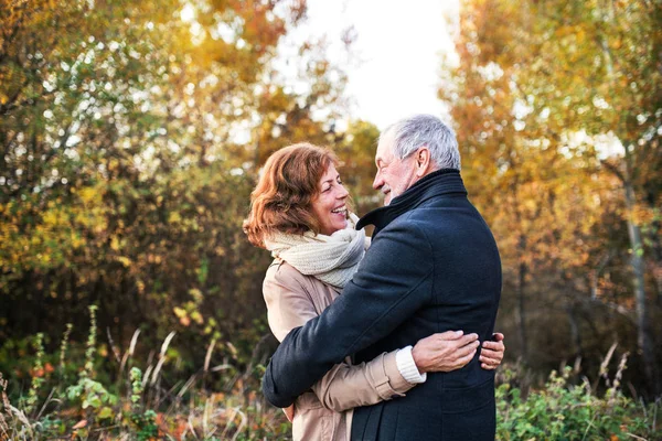 Pareja mayor mirándose en una naturaleza otoñal, abrazándose . —  Fotos de Stock