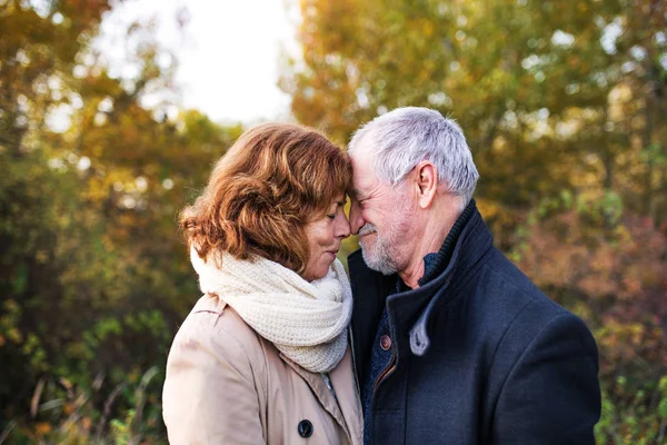 Äldre par i kärlek i en höst natur, röra näsor. — Stockfoto