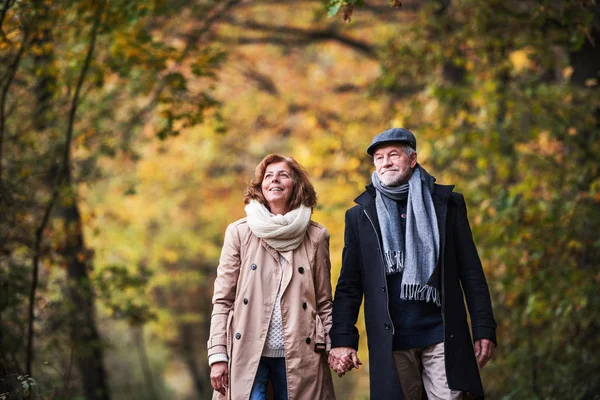 Pareja mayor caminando en un bosque en una naturaleza otoñal, tomados de la mano . — Foto de Stock