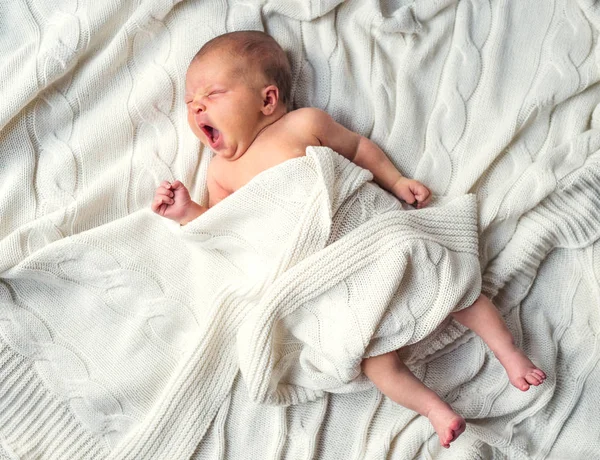 Newborn baby lying on bed, covered by a white blanket. Top view. — Stock Photo, Image