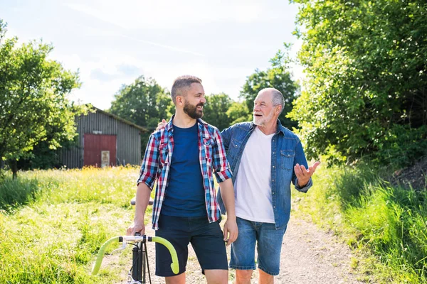 Un hijo hipster adulto con bicicleta y padre mayor caminando en la naturaleza soleada . — Foto de Stock