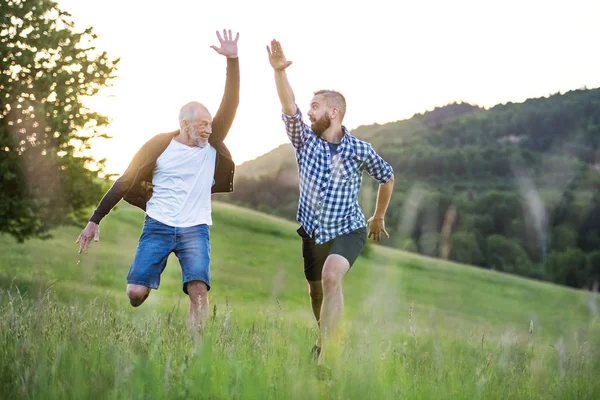 Een volwassen hipster zoon en vader senior springen in de natuur bij zonsondergang. — Stockfoto