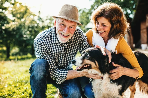 Una pareja mayor agachándose y acariciando a un perro . — Foto de Stock