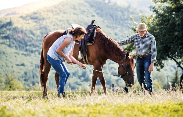 A senior couple holding a horse grazing on a pasture. — Stock Photo, Image