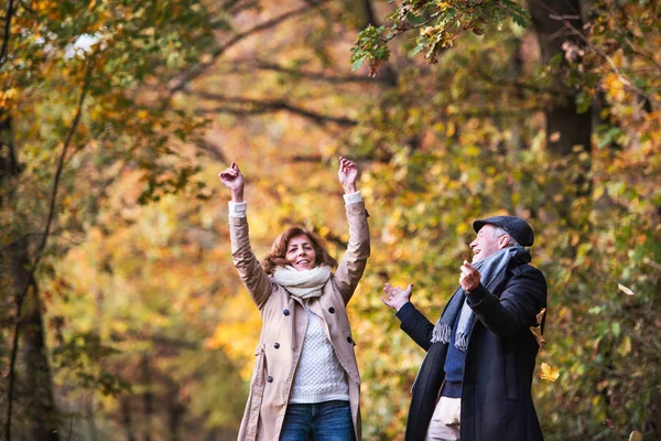 Casal sênior em um passeio em uma floresta em uma natureza de outono, divertindo-se . — Fotografia de Stock