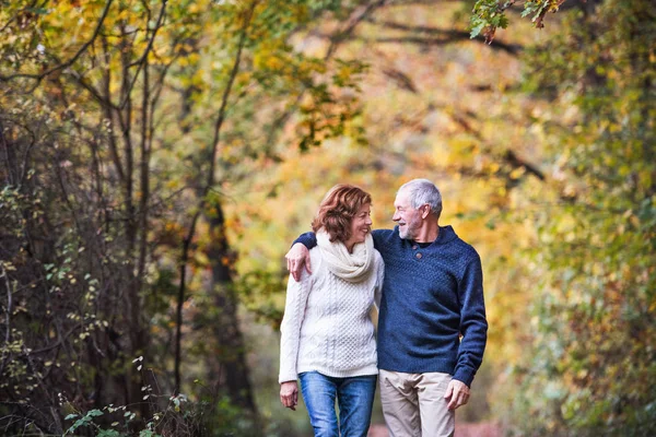 Ett porträtt av ett äldre par promenader i en höst natur. Kopiera utrymme. — Stockfoto